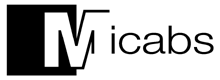 DSM Micabs