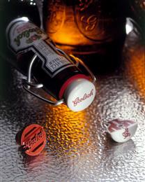 Il nuovo tappo delle bottiglie di birra Grolsch, sviluppato dalla Grolsch, dalla Reobijn, dalla PolyOne e dalla Foboha, è più resistente, meno costoso e più vantaggioso anche dal punto di vista del processo di produzione; in più, è indistinguibile dal tappo tradizionale. 