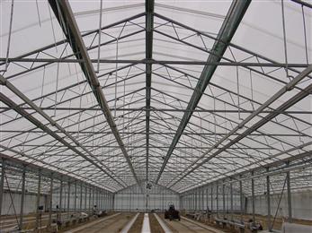 Corn. Bak BV, a world leading grower and exporter of Bromelia plants, has adopted the LEXAN* ZigZag* polycarbonate panels for the roof refurbishment of three of its greenhouses, a total area of 3,800 m2. The work was carried out with roofing systems designed by Bosman Kassenbouw of Aalsmeer, The Netherlands. 