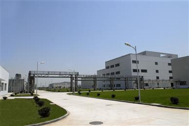 DSM to double capacity for engineering plastics in China 