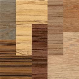 Trespa International hat seine Kollektion an Naturfarben und -oberflächen für die Trespa Meteon Platte um sieben neue Wood Decors erweitert. Inspiriert wurden die neuen Dekore von der natürlichen Umwelt. Sie sollen Architekten und Designer zu neuen Ideen anregen und ihnen Gestaltungsmöglichkeiten bieten, um atemberaubende Fassaden zu entwerfen. Gleichzeitig werden sie dem Trend zu ökologischem Bewusstsein und Nachhaltigkeit gerecht.