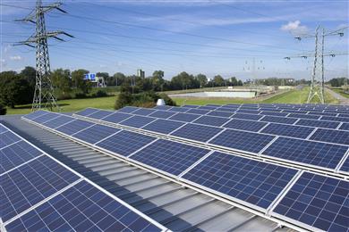 KhepriCoat® anti-reflective glass coating on solar panels at DSM.
(Photo: DSM Innovation Center: DSMICPR002)