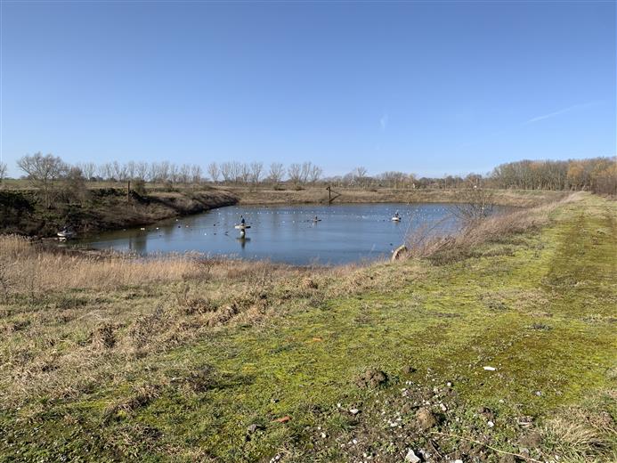 BENEO transforms settling pond into wildlife haven. (Photo: BENEO, PR006)