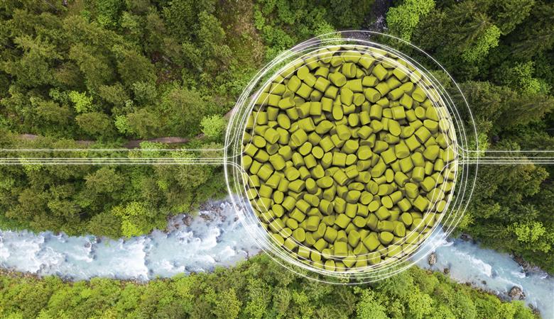 DOMO Chemicals unveils ambition to lead in sustainable development within the decade.