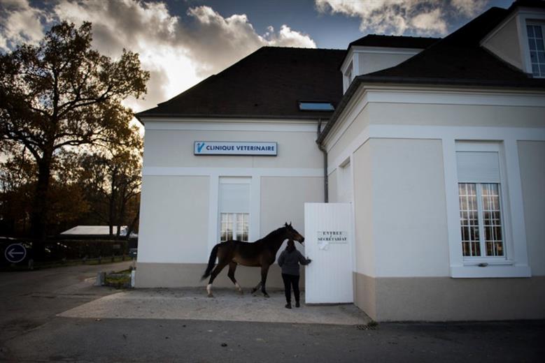 Neck generation innovation: How metal 3D-printed implants are helping injured racehorses.
(Photo: Clinique de Grosbois, GEADPR058)