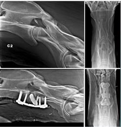 Pre- and post-operative images.
(Photo: Clinique de Grosbois, GEADPR058)