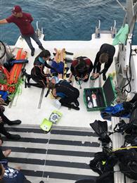 Divers seeking certification from KAUST’s American Academy of Underwater Sciences-accredited scientific research diving course practice assisting during an on-deck emergency. Photo by David John Pallett. 