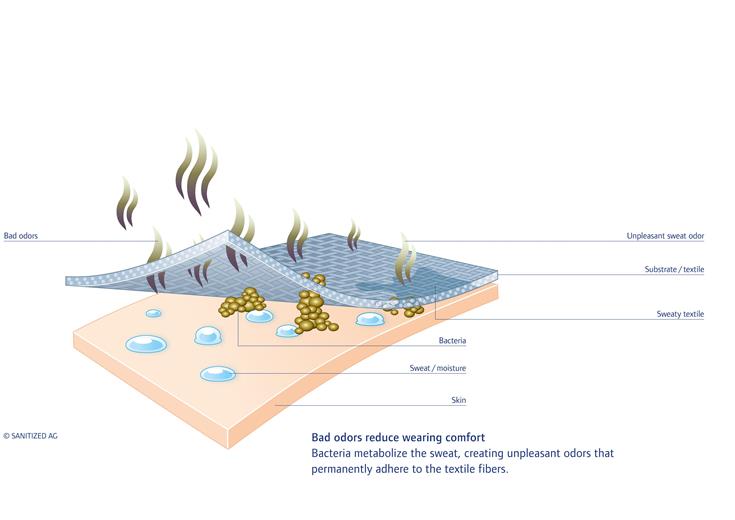 Sanitized® Puretec™ 技术为所有纤维类型提供最佳抗菌效果。(图片: SANITIZED AG, PR039) 