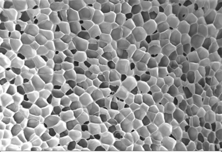 Un primer plano de la espuma Hytrel® con un aumento de 100x muestra su estructura celular cerrada.