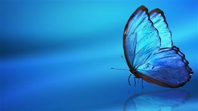 Perstorp announces toxicity targets to safeguard health and environment. (Photo: Perstorp)
