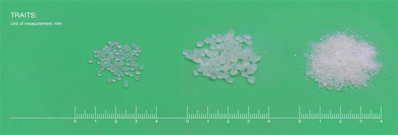 UniteChem Group is taking the opportunity of K 2022 to showcase various new performance additives, spearheaded by its recently commercialized HALS LS-2020 for fibers and webs of polyolefin and other polymer materials.
(Photo: UniteChem)