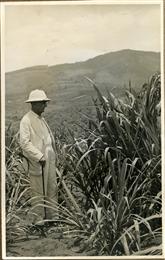 Looking beyond the wind: why innovative and sustainable farming is the perfect tribute to Westfalia’s founder. 
(Photo: Westfalia Fruit, BA001)