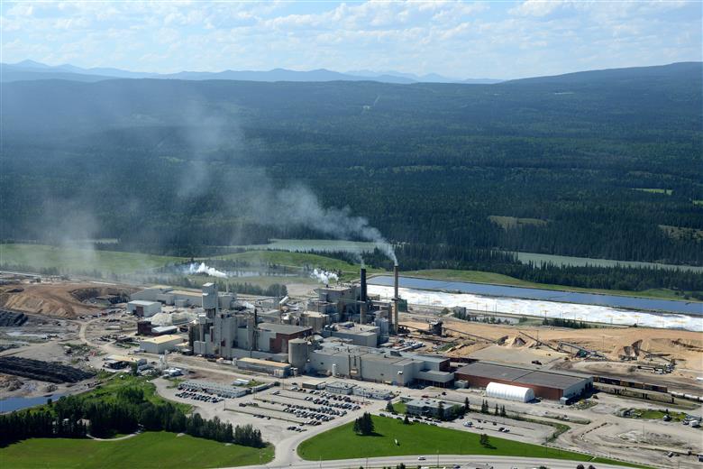 Hinton Pulp mill acquisition supports growth in Mondi’s Americas paper bags business. 
(Photo: Mondi, PR258)