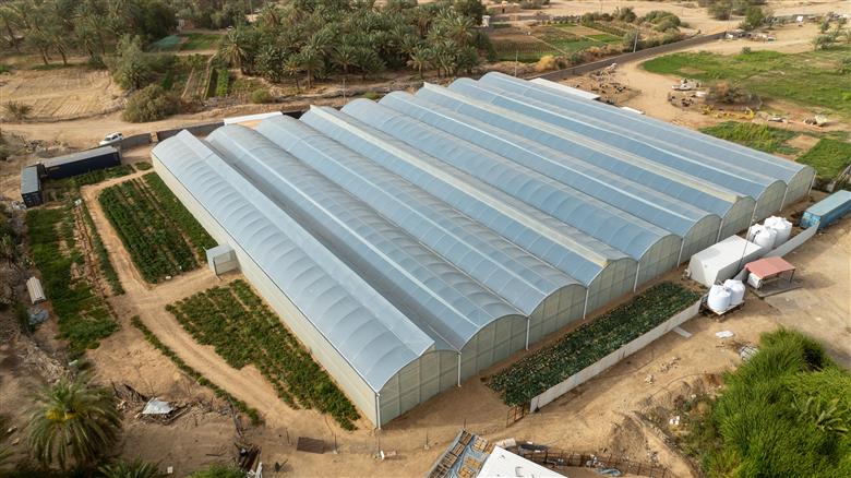 Successful National Food Production Initiative project for sustainable farming in Saudi Arabia uses SABIC’s TRUCIRCLE™ offering of certified circular polyethylene resins for a durable greenhouse roofing film.