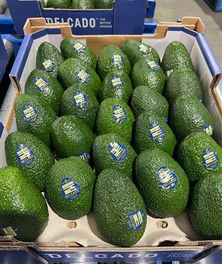 Westfalia: leading sustainable growth in Asia’s new avocado markets. (Photo: Westfalia Fruit, PR030)