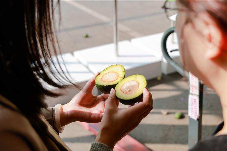 Westfalia Fruit Celebrates Historic First Shipment of Avocados from South Africa to China.
(Photo: Westfalia Fruit, PR037)