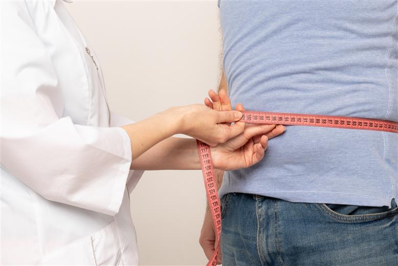 Voordelen van cichoreiwortelvezels bij gewichtsbeheersing bevestigd via een systematische review met meta-analyses. 
(Foto: Shutterstock, PR029)