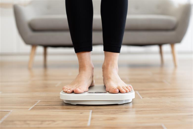Voordelen van cichoreiwortelvezels bij gewichtsbeheersing bevestigd via een systematische review met meta-analyses. 
(Foto: Shutterstock, PR029)
