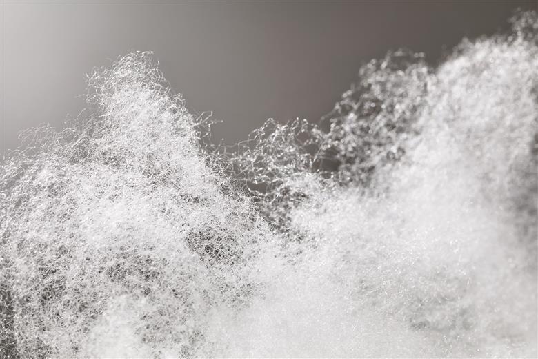 Beaulieu Fibres International at IDEA25: showcasing fibres that build futures - high in performance and sustainability.
(Photo: © Beaulieu International Group)